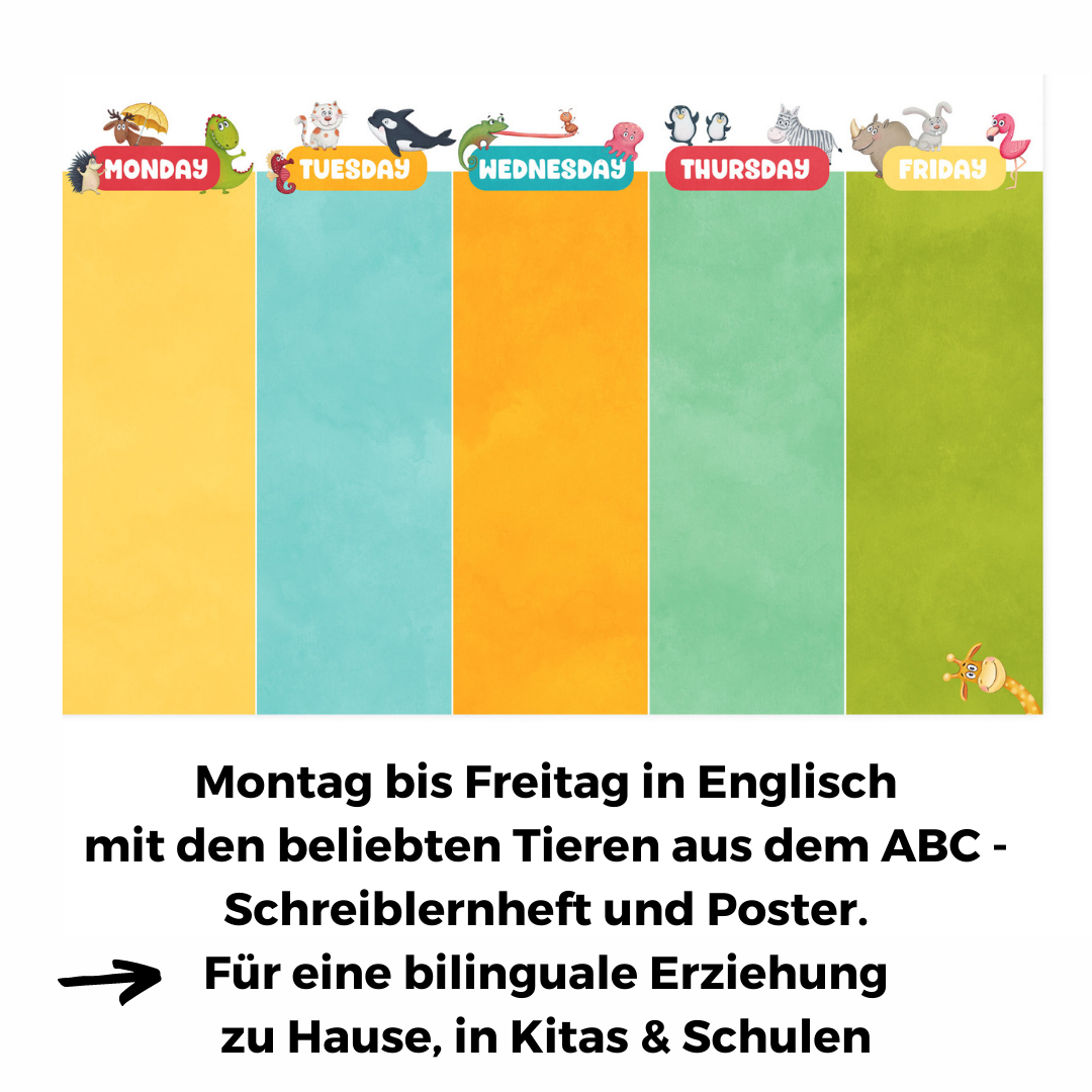 Poster für Whiteboardtafel 60 x 40 cm Montag bis Freitag in Englisch